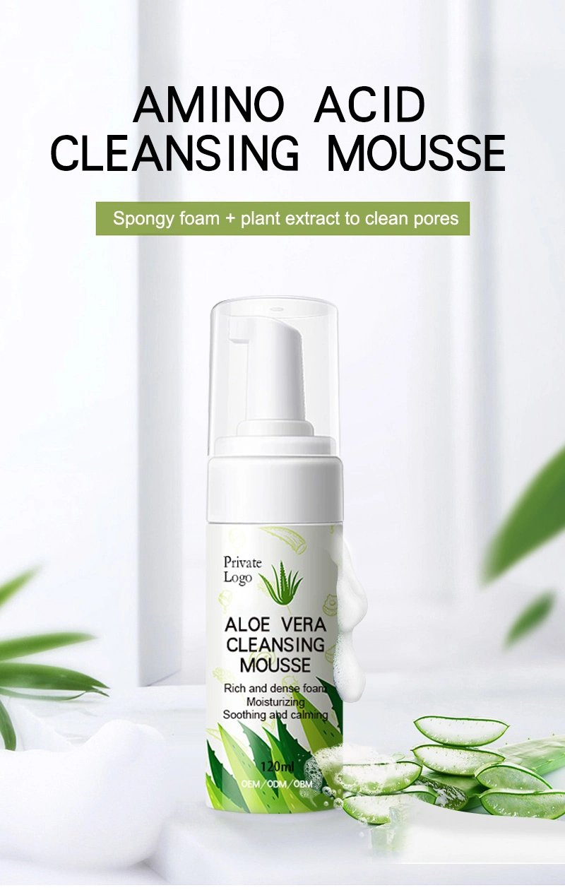 Customize Logo Aloe Vera Cleanser Deep Cleansing Mousse Oil Control Foam Herbal Skin Care Product