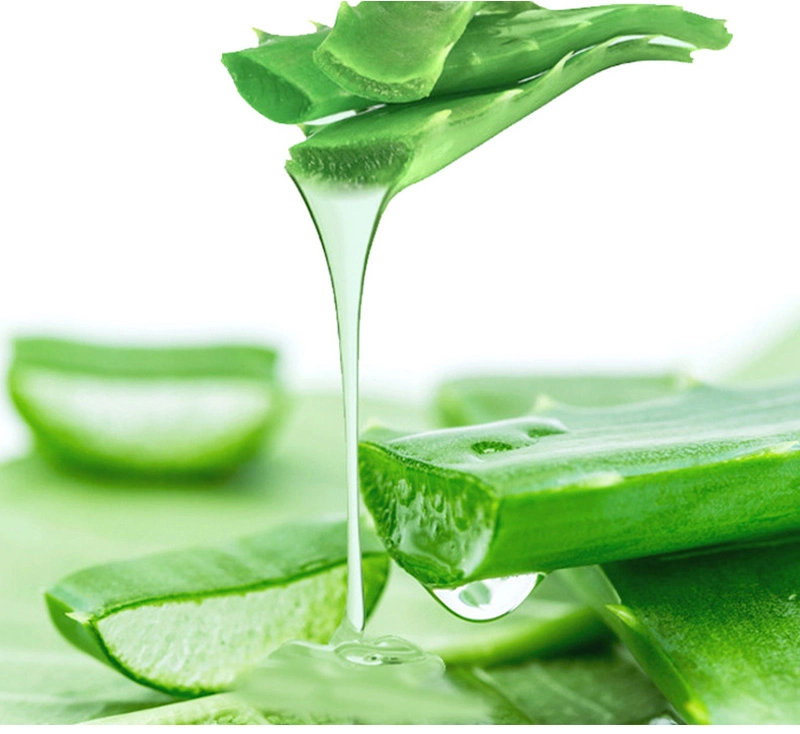 Customize Logo Aloe Vera Cleanser Deep Cleansing Mousse Oil Control Foam Herbal Skin Care Product