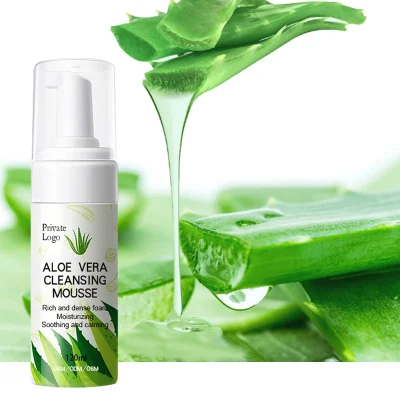 Logo anpassen Aloe Vera Cleanser Deep Cleansing Mousse Oil Control Foam Kräuter-Hautpflegeprodukt